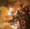 Migrantes Marroquíes Incendian Francia